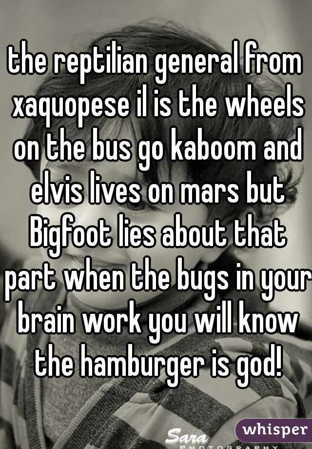 the reptilian general from xaquopese il is the wheels on the bus go kaboom and elvis lives on mars but Bigfoot lies about that part when the bugs in your brain work you will know the hamburger is god!