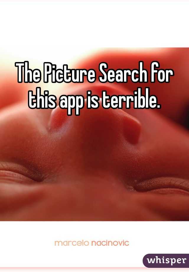 The Picture Search for this app is terrible.
