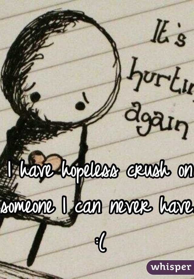 I have hopeless crush on someone I can never have. :(