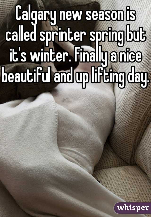 Calgary new season is called sprinter spring but it's winter. Finally a nice beautiful and up lifting day.