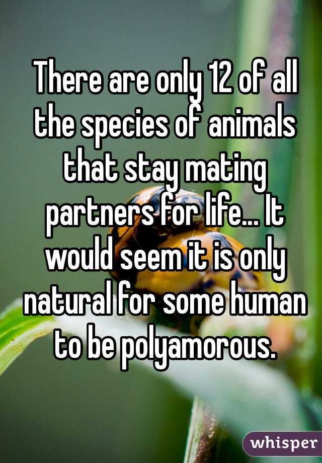 There are only 12 of all the species of animals that stay mating partners for life... It would seem it is only natural for some human to be polyamorous.