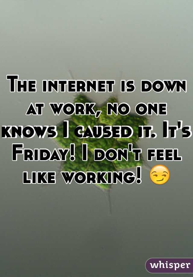 The internet is down at work, no one knows I caused it. It's Friday! I don't feel like working! 
