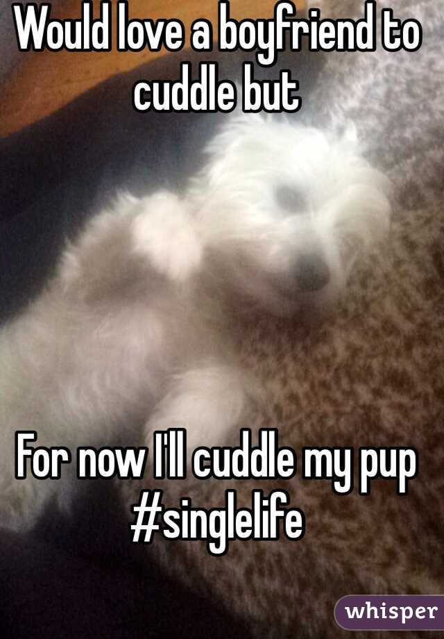 Would love a boyfriend to cuddle but





For now I'll cuddle my pup
#singlelife