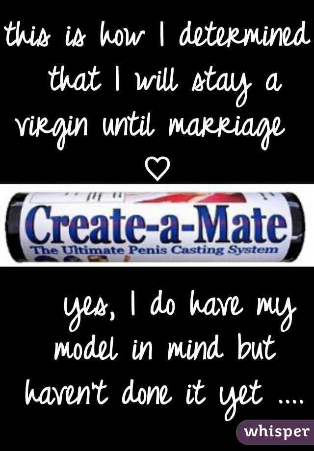 this is how I determined that I will stay a virgin until marriage           ♡                                                    yes, I do have my model in mind but haven't done it yet ....