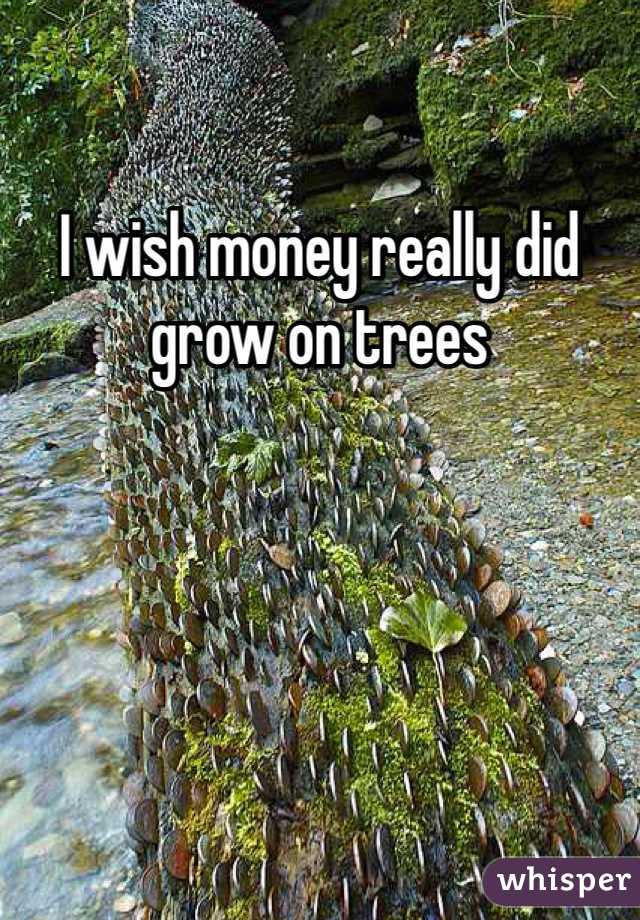 I wish money really did grow on trees