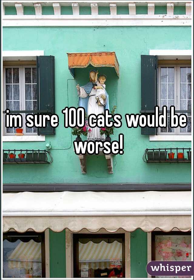 im sure 100 cats would be worse!