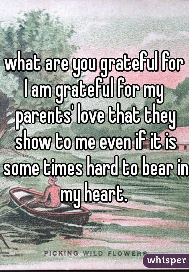 what are you grateful for?
I am grateful for my parents' love that they show to me even if it is some times hard to bear in my heart. 