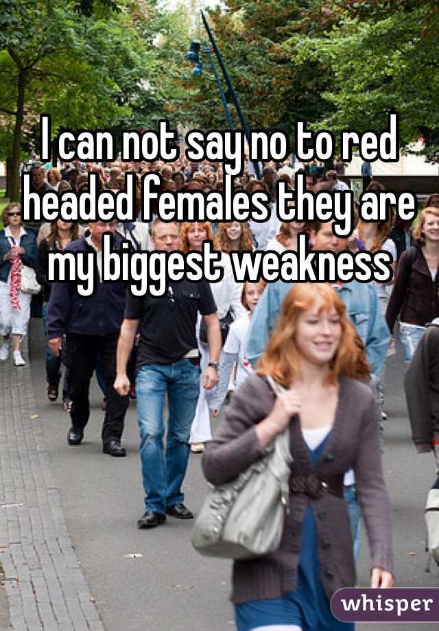 I can not say no to red headed females they are my biggest weakness 