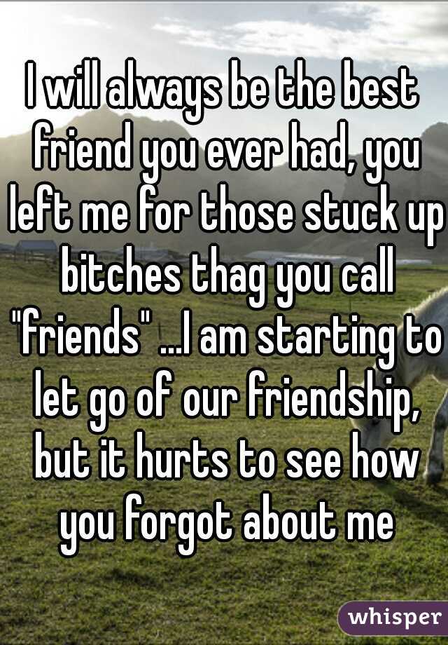 I will always be the best friend you ever had, you left me for those stuck up bitches thag you call "friends" ...I am starting to let go of our friendship, but it hurts to see how you forgot about me