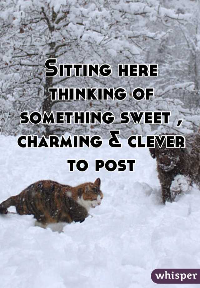 Sitting here thinking of something sweet , charming & clever to post