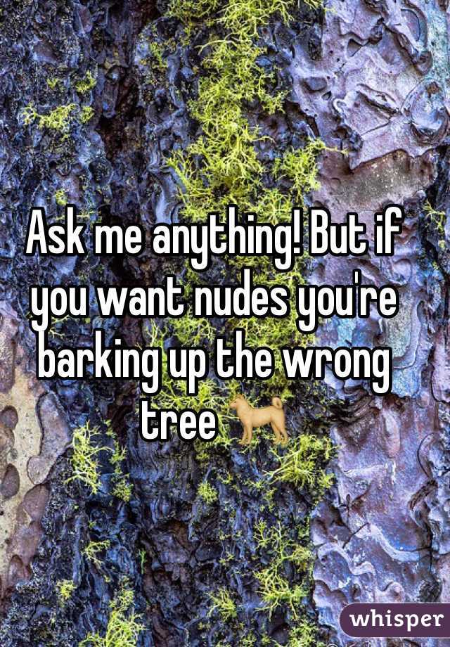 Ask me anything! But if you want nudes you're barking up the wrong tree 🐕
