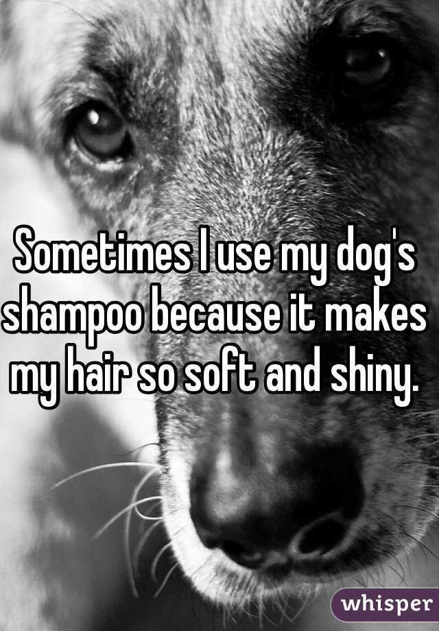 Sometimes I use my dog's shampoo because it makes my hair so soft and shiny.  