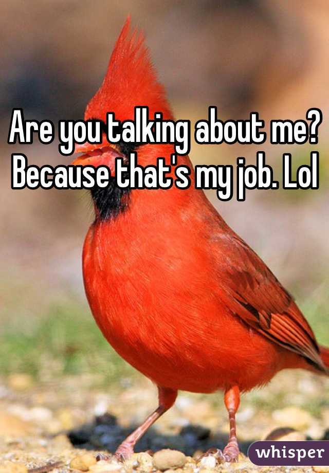 Are you talking about me? Because that's my job. Lol
