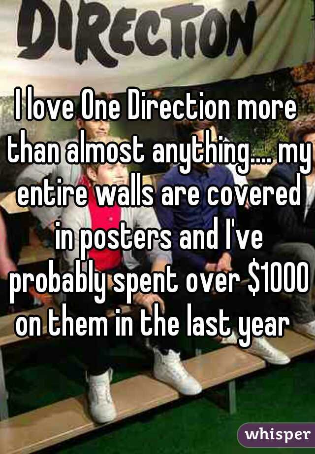 I love One Direction more than almost anything.... my entire walls are covered in posters and I've probably spent over $1000 on them in the last year  