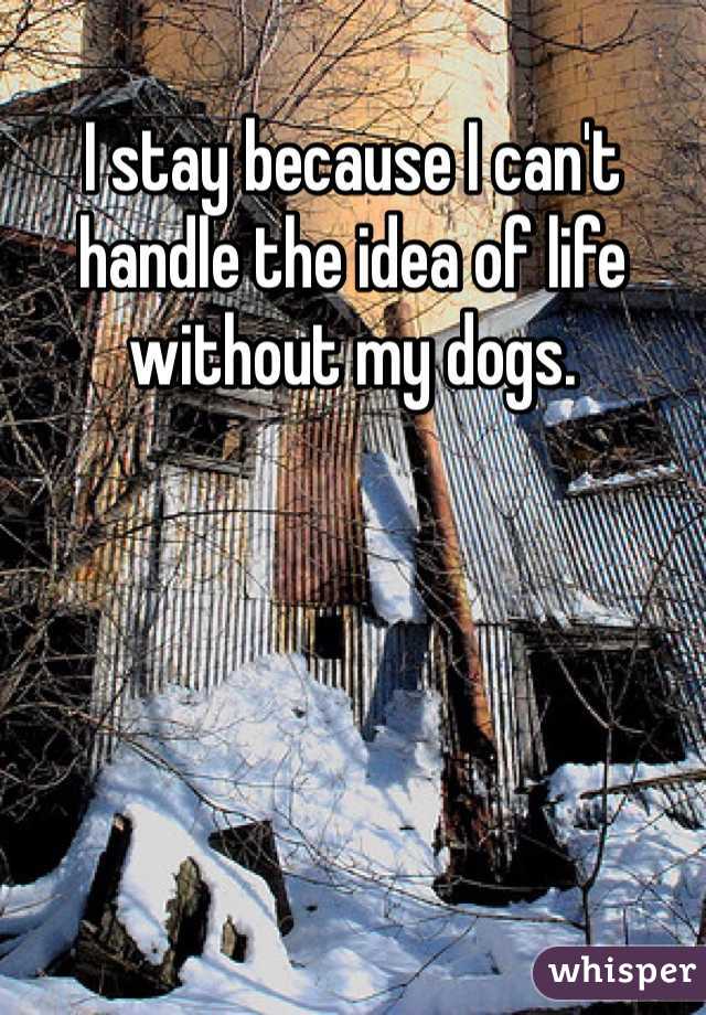I stay because I can't handle the idea of life without my dogs. 