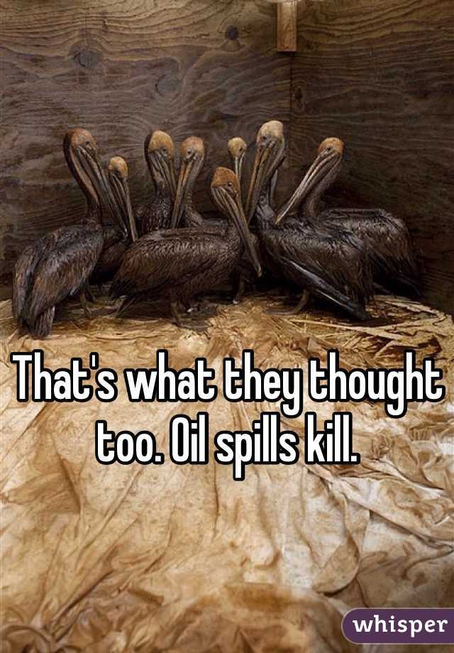 That's what they thought too. Oil spills kill. 