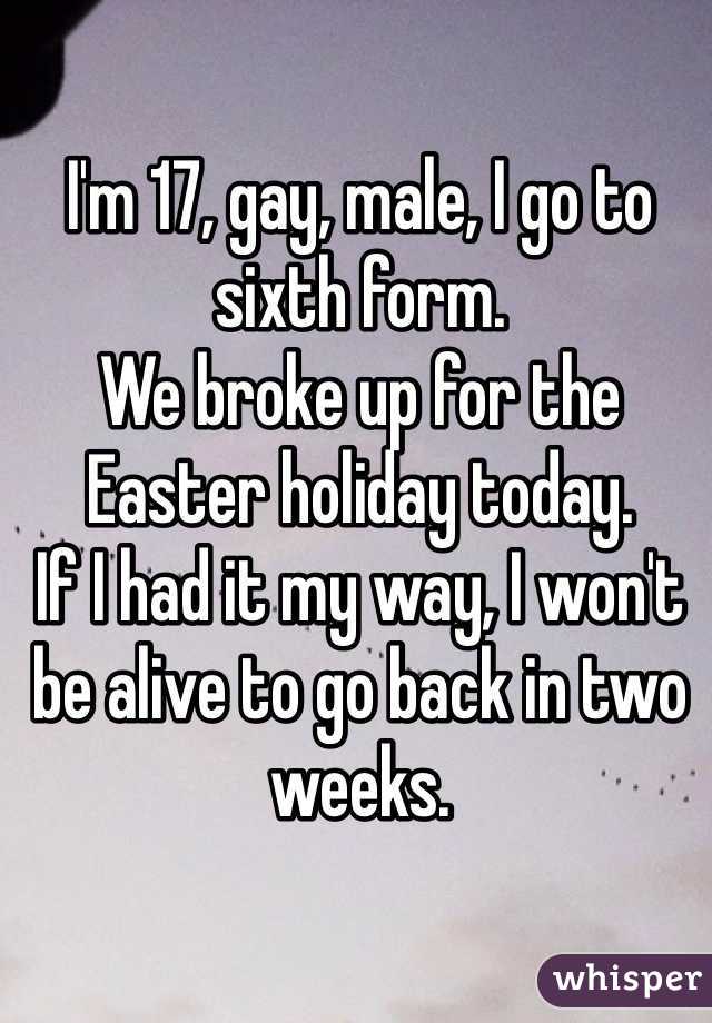 I'm 17, gay, male, I go to sixth form. 
We broke up for the Easter holiday today. 
If I had it my way, I won't be alive to go back in two weeks. 