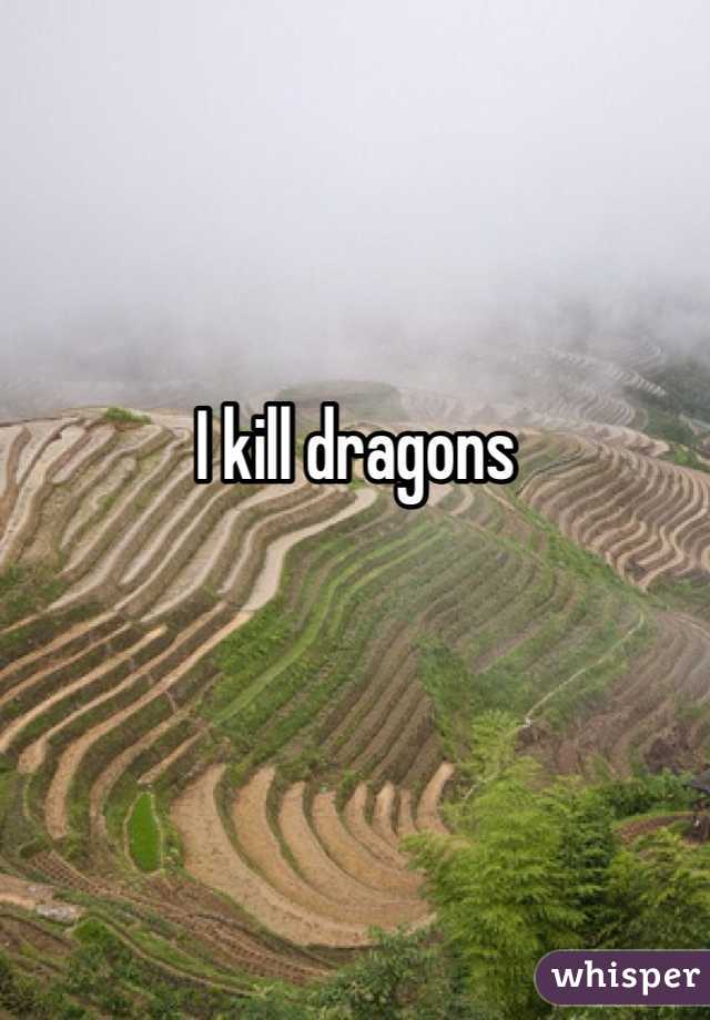 I kill dragons 