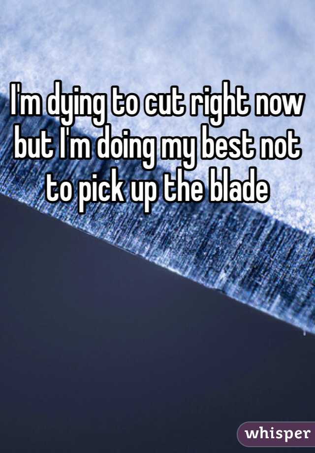 I'm dying to cut right now but I'm doing my best not to pick up the blade  