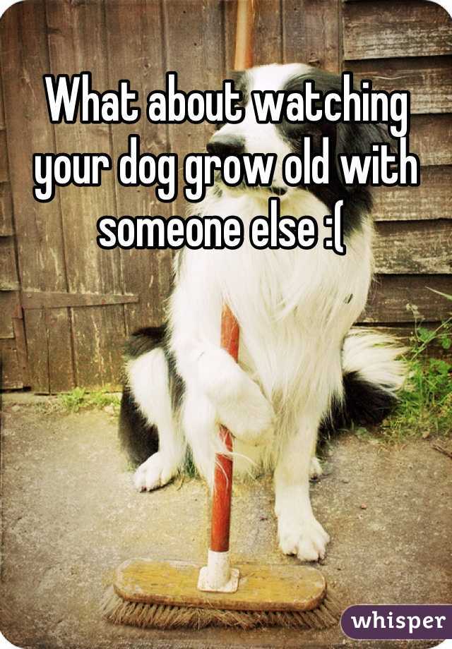 What about watching your dog grow old with someone else :( 