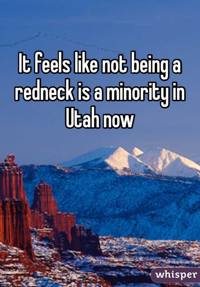 It feels like not being a redneck is a minority in Utah now 