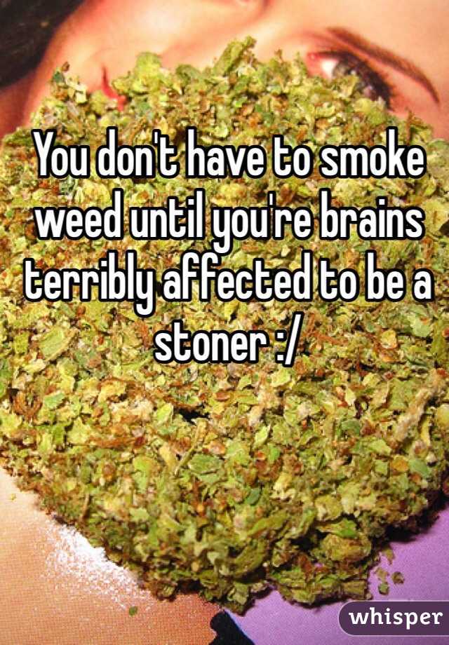 You don't have to smoke weed until you're brains terribly affected to be a stoner :/