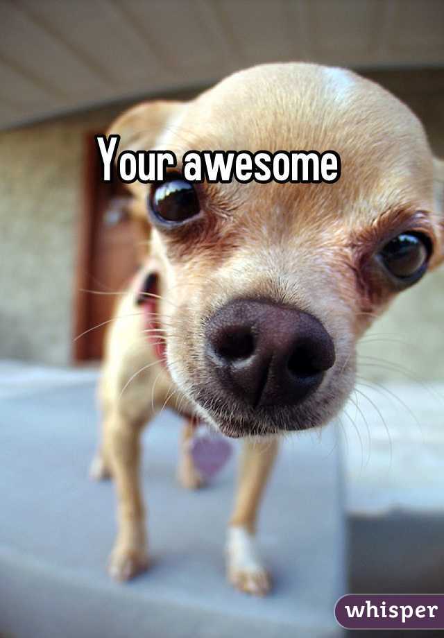 Your awesome 
