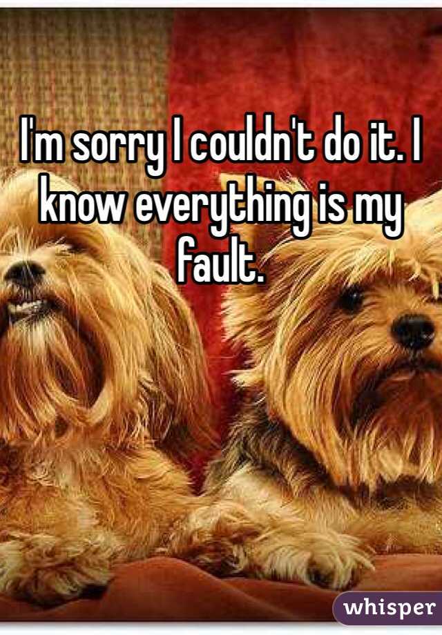 I'm sorry I couldn't do it. I know everything is my fault. 