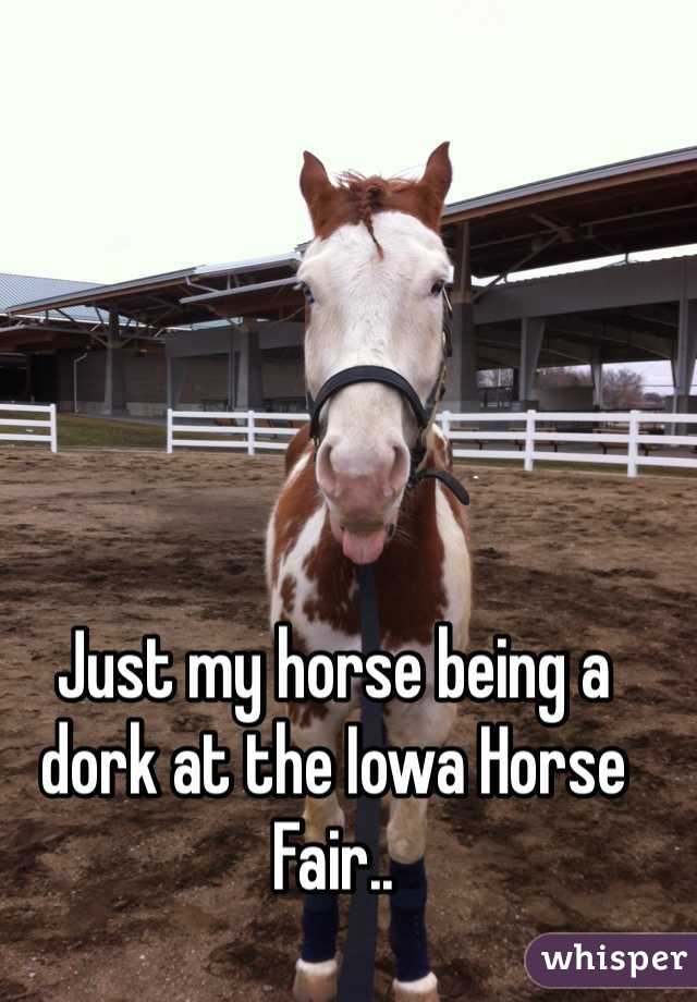 Just my horse being a dork at the Iowa Horse Fair..