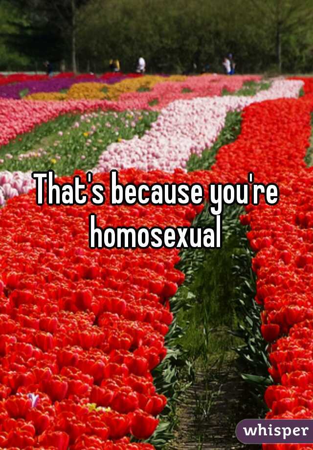 That's because you're homosexual 