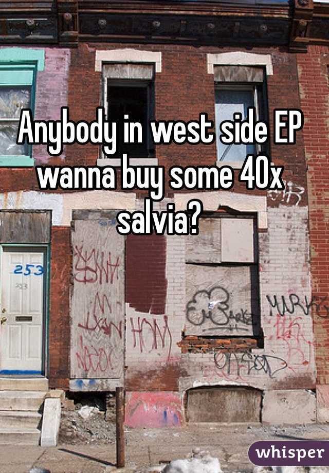 Anybody in west side EP wanna buy some 40x salvia? 