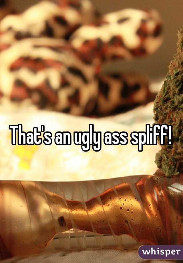 That's an ugly ass spliff!
