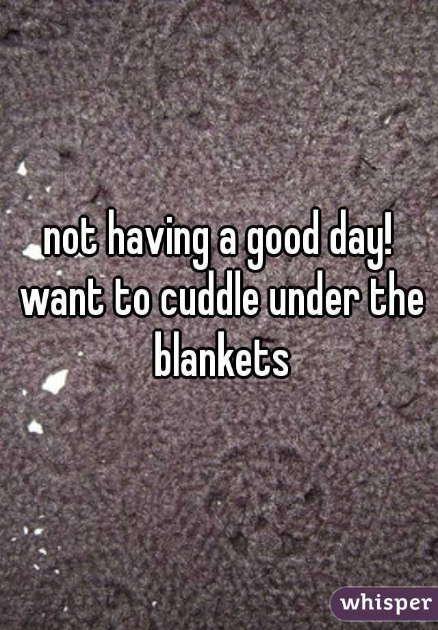 not having a good day! want to cuddle under the blankets