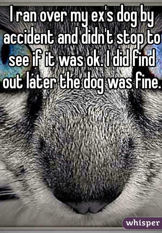 I ran over my ex's dog by accident and didn't stop to see if it was ok. I did find out later the dog was fine.