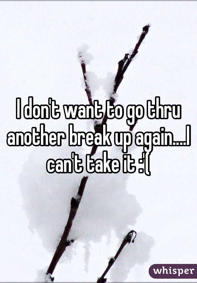 

I don't want to go thru another break up again....I can't take it :'(