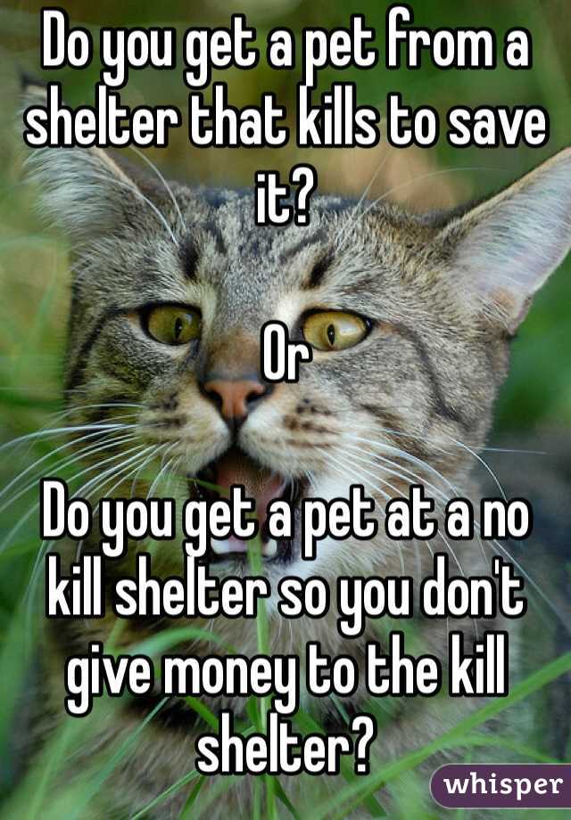 Do you get a pet from a shelter that kills to save it?

Or

Do you get a pet at a no kill shelter so you don't give money to the kill shelter?