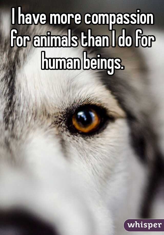 I have more compassion for animals than I do for human beings.