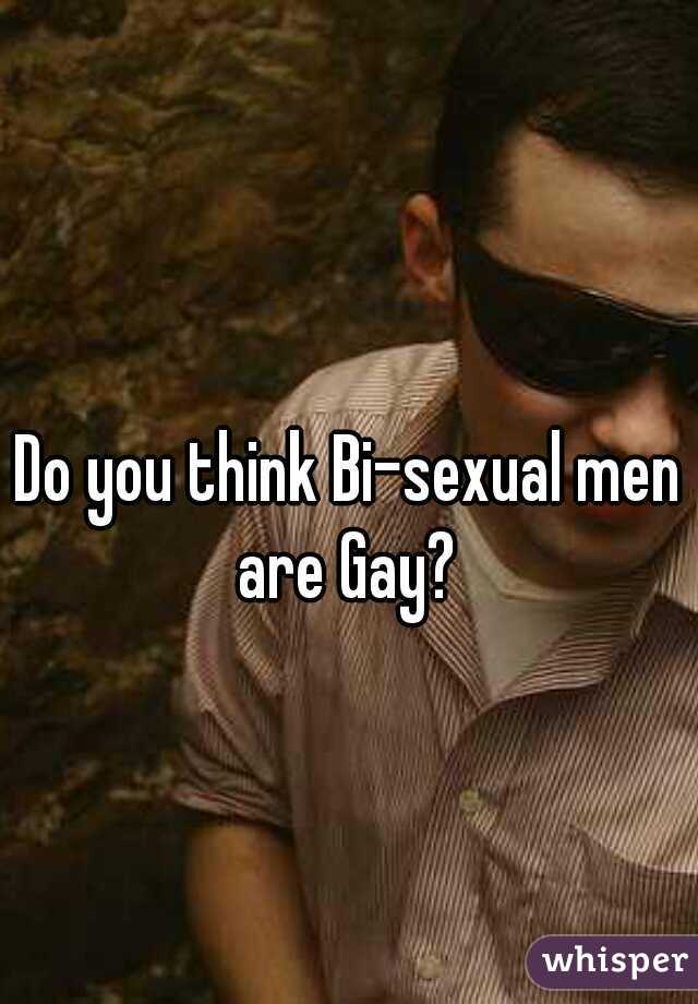 Do you think Bi-sexual men are Gay? 