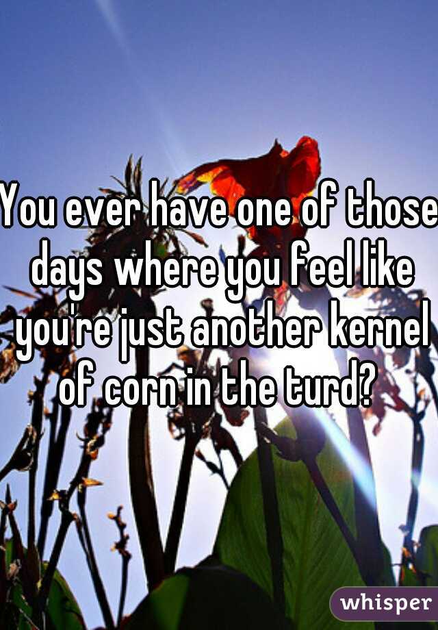 You ever have one of those days where you feel like you're just another kernel of corn in the turd? 