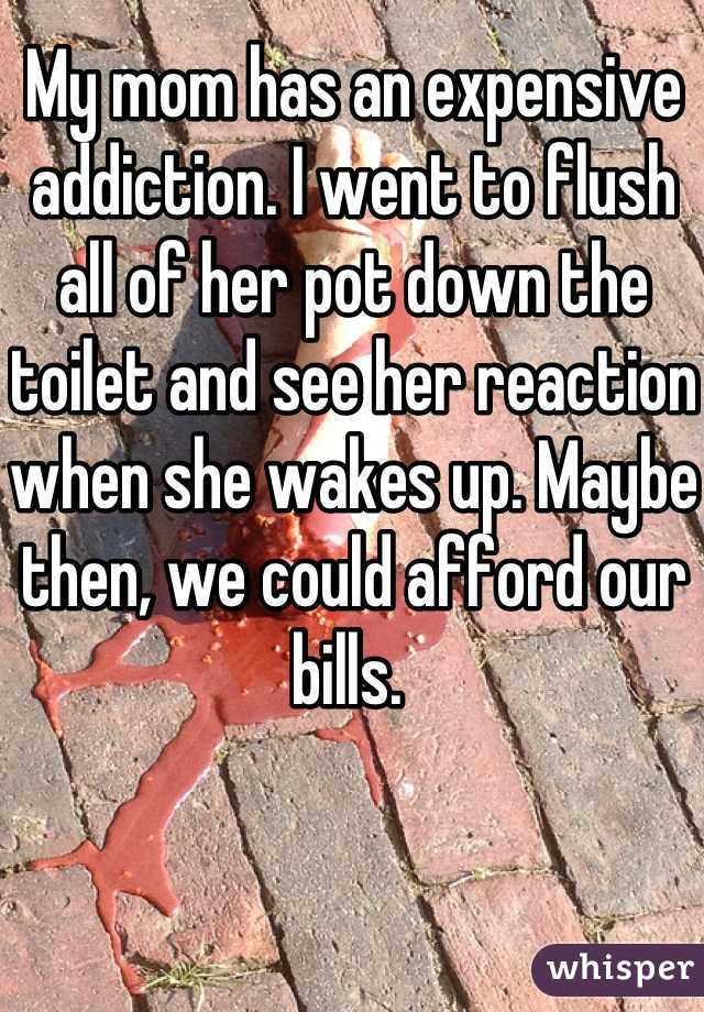 My mom has an expensive addiction. I went to flush all of her pot down the toilet and see her reaction when she wakes up. Maybe then, we could afford our bills. 