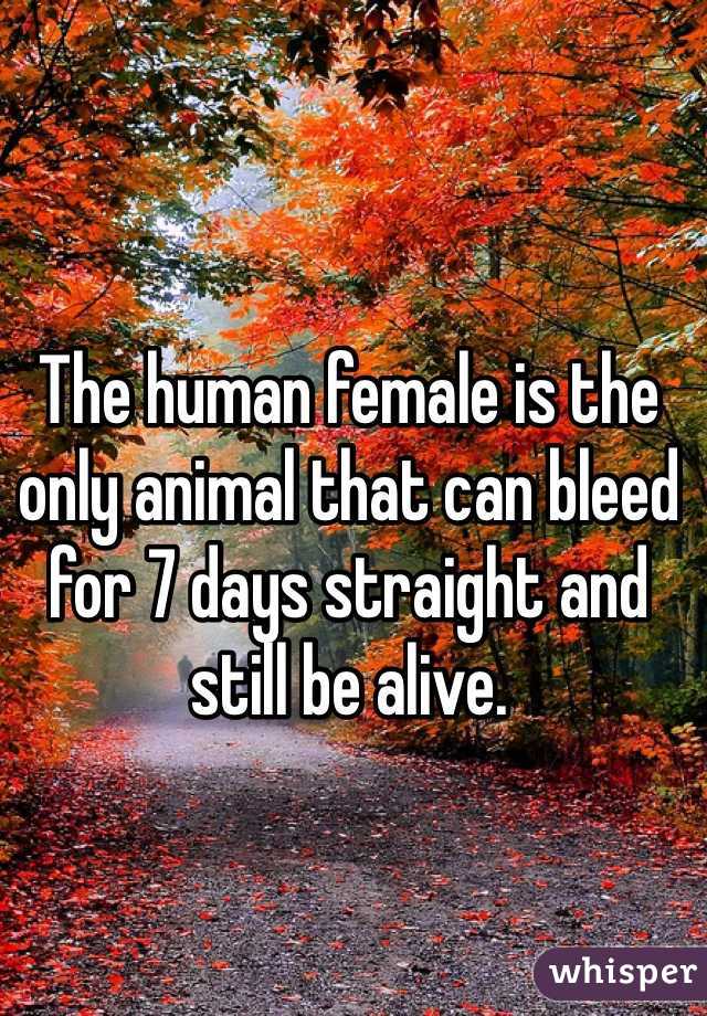 The human female is the only animal that can bleed for 7 days straight and still be alive. 