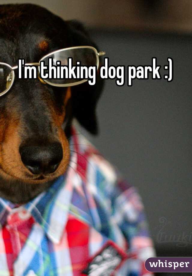 I'm thinking dog park :) 