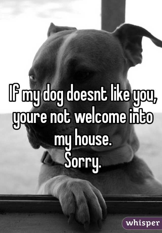 If my dog doesnt like you, youre not welcome into my house.
Sorry.