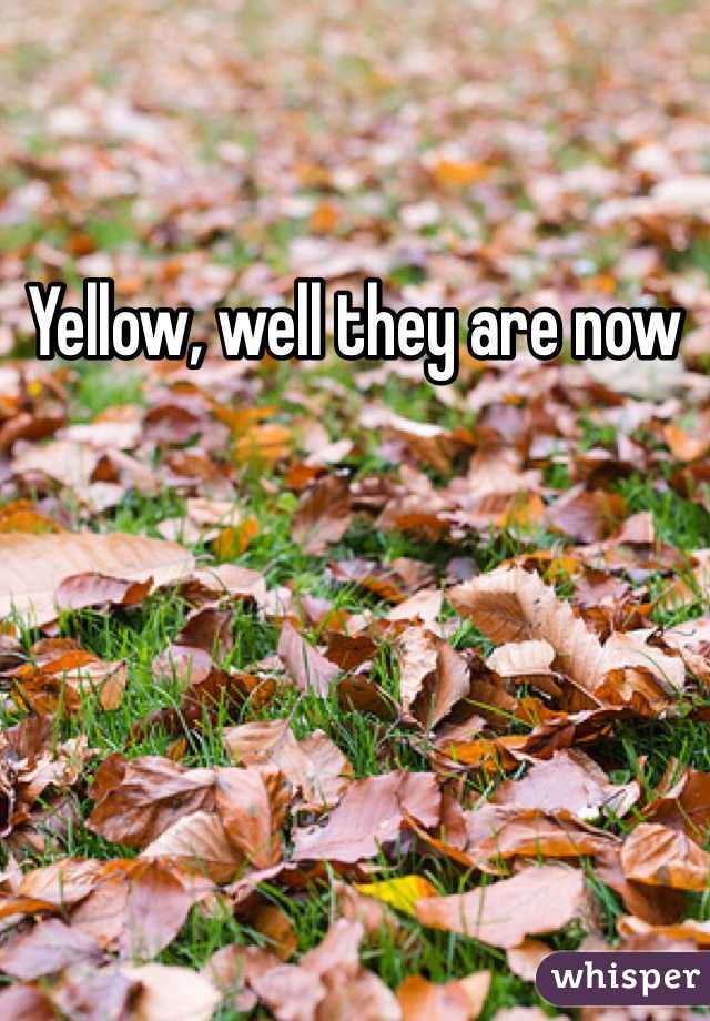 Yellow, well they are now 