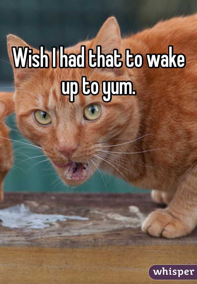 Wish I had that to wake up to yum. 