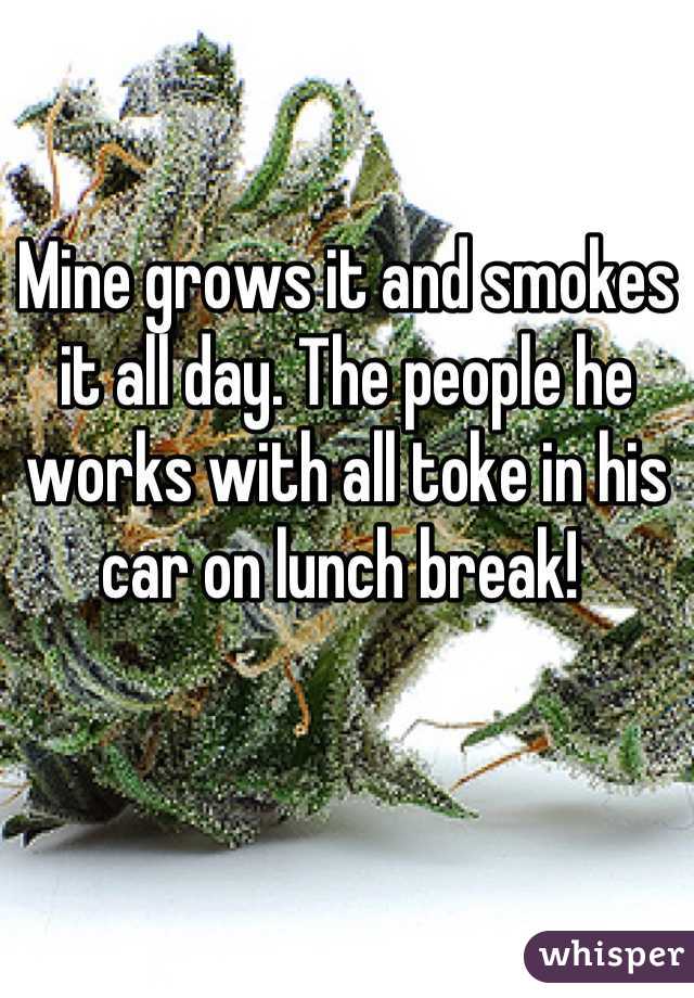 Mine grows it and smokes it all day. The people he works with all toke in his car on lunch break! 