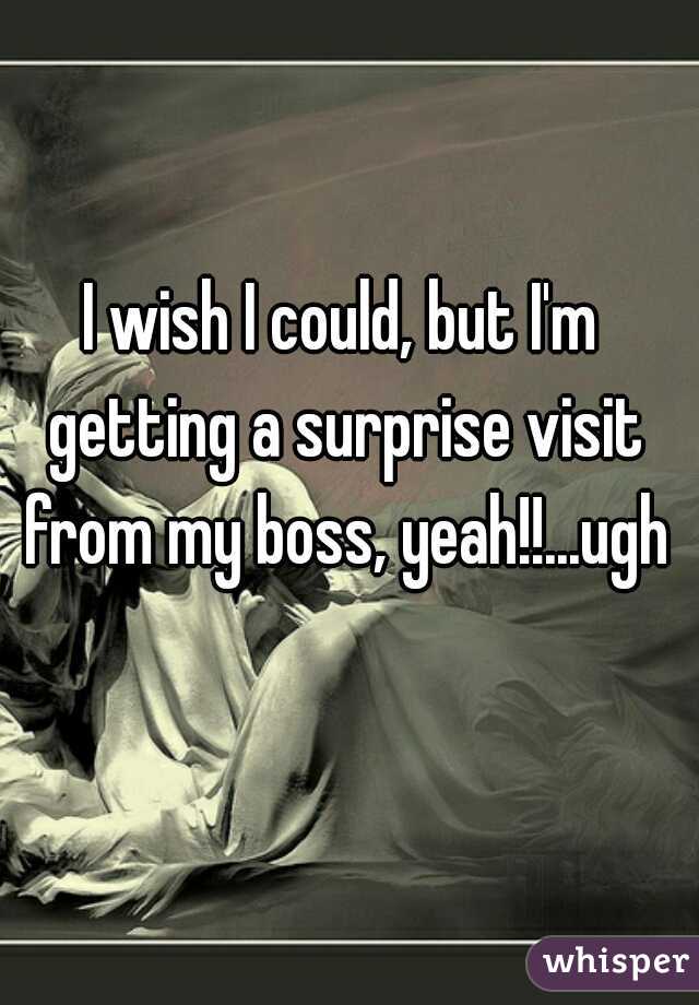 I wish I could, but I'm getting a surprise visit from my boss, yeah!!...ugh