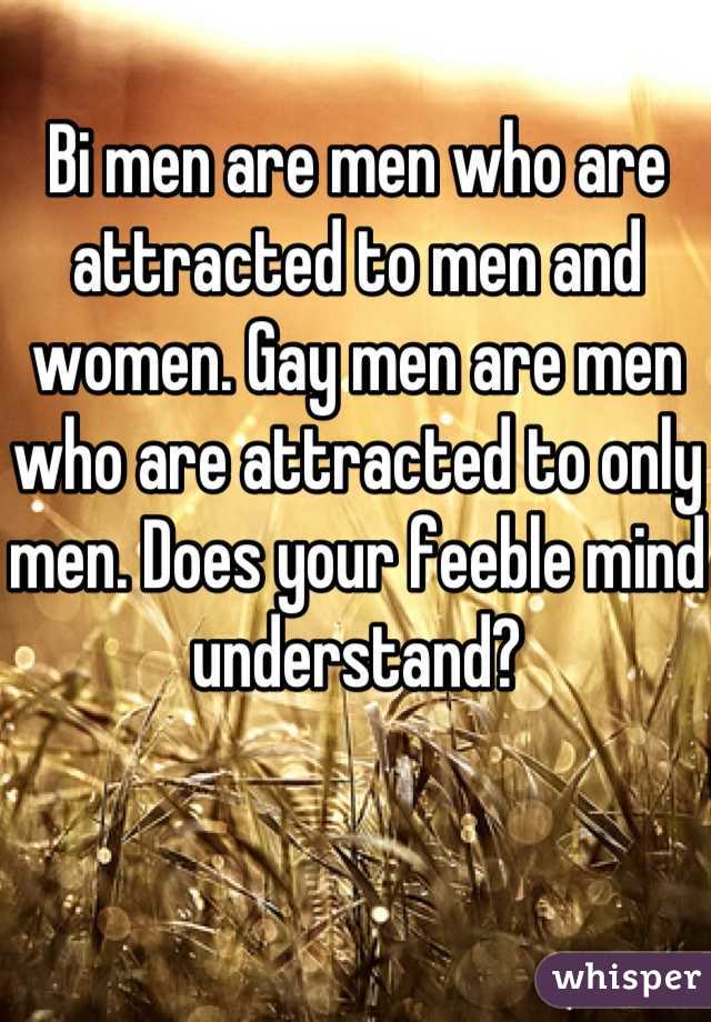 Bi men are men who are attracted to men and women. Gay men are men who are attracted to only men. Does your feeble mind understand?