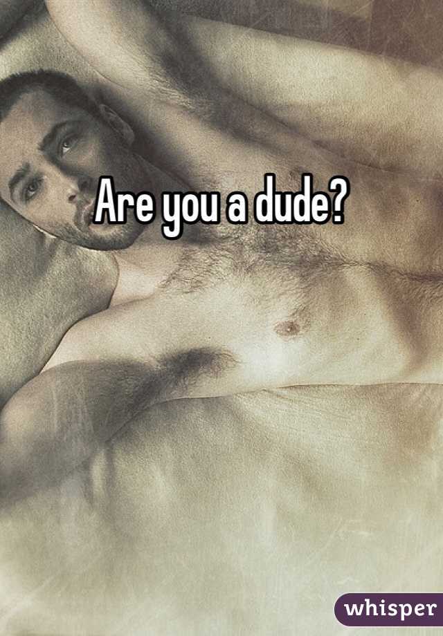 Are you a dude?