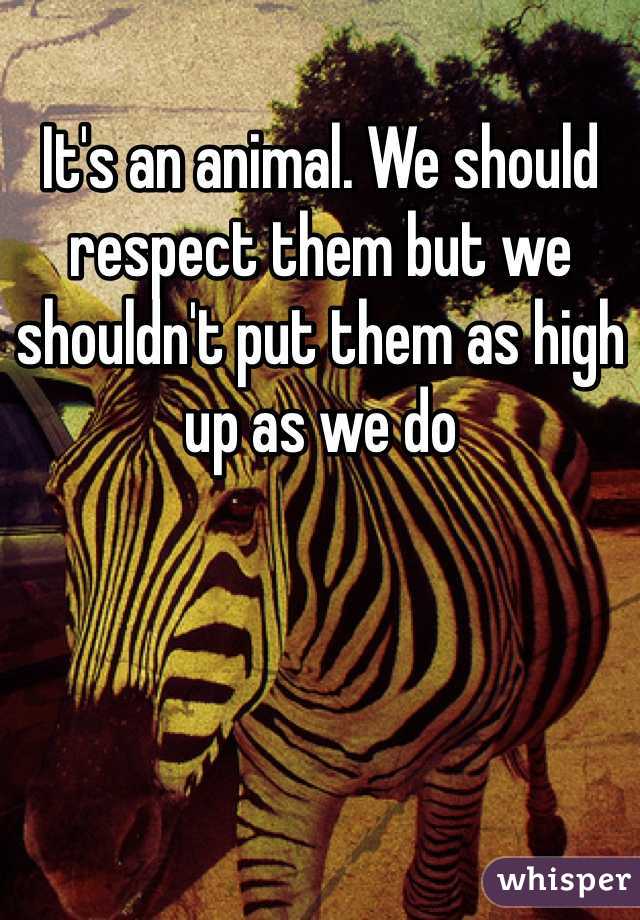 It's an animal. We should respect them but we shouldn't put them as high up as we do